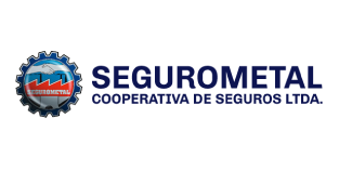 C - _Seguro metal logo